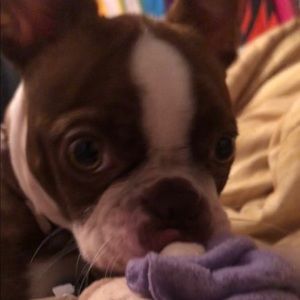 Meet your Posher, Taylor